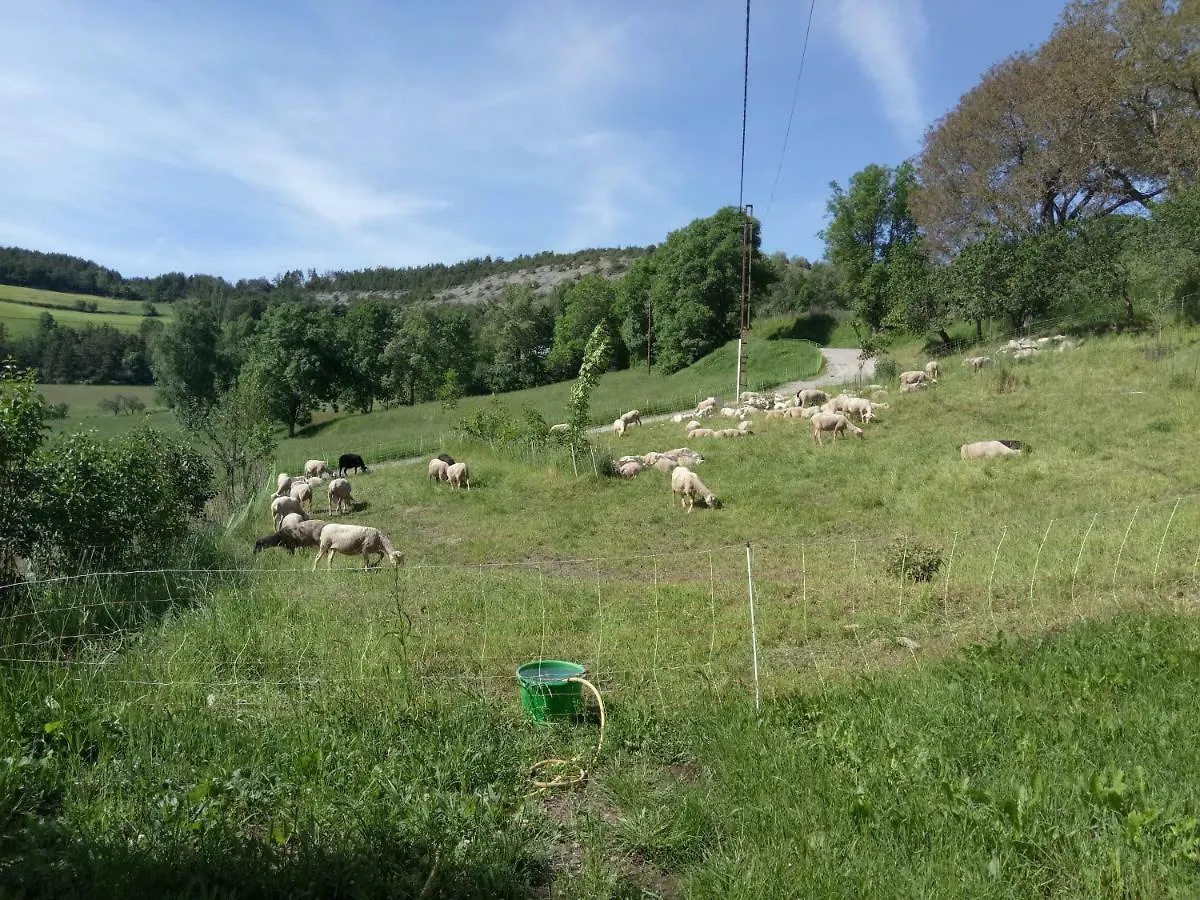Les Logis De Lucie Appartement Selonnet